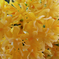 искусственные цветы букет из луговых цветов цвета желтый 1