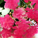 искусственные цветы букет пластик цвета розовый 5