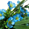 искусственные цветы букет фиалок с добавкой пластик цвета синий 12