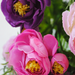 искусственные цветы камелия цвета светло-розовый, малиновый, фиолетовый 47