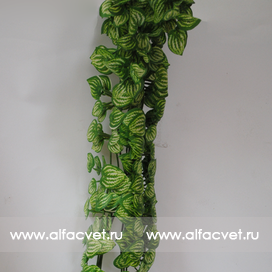 искусственные цветы куст (вьющийся) цвета зеленый с белым 34
