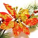 искусственные цветы веточка ели с пуансеттией цвета красный 4